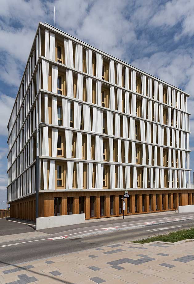 The white facade elements complete the wooden look of the office building